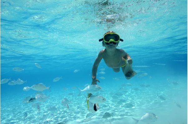 Picture showing Romeo swimming underwater